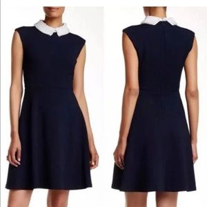 Eliza J Fit & Flare Dress sz 0 Pearl Peter Pan Collar